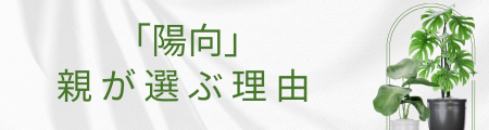 親が選ぶ「陽向」の理由