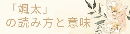 「颯太」の読み方と意味